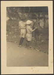 Children by Fence with Deer