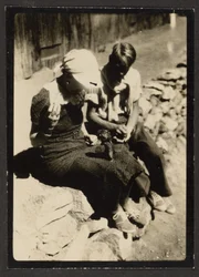 Chipmunk Begging for Food