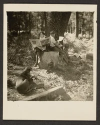 [Couple Reading Newspaper in Woods]