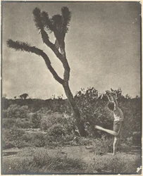 [Dancer at Joshua Tree]
