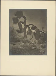 Dancing Spirit of the Joshua - First Lessons