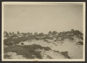 Dunes