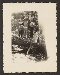 Figures in Woods