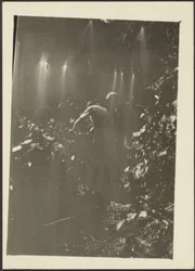 Figures in Woods