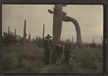 [Figures with Cactus]