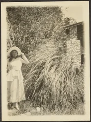 Florence and Wild Grass