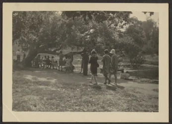 Group in Park