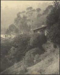 Houses on Hillside