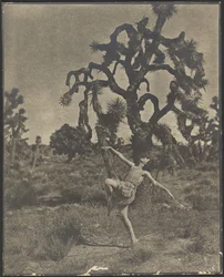 Inspiration of the Dance
