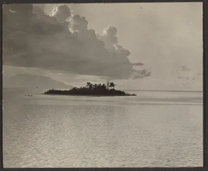 [Island Landscape]
