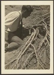 Man with Roots