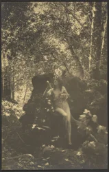 [Nude Woman in the Woods]