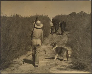 On a Desert Range