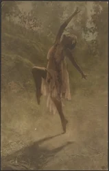 Rose Dance of the South