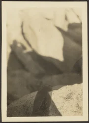 Shoe on Rocks