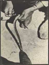 Skinning a Rattlesnake
