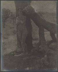 Spirit of the Joshua