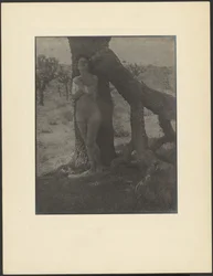 Spirit of the Joshua