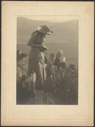 [Woman Making Notes on Cacti]