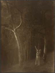 Woman Praying Amidst Trees