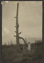 [Woman and Child with Cactus]