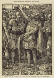 David pours the water on the ground