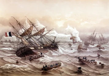 Whaling in Newfoundland. Painting by Lebreton. Early 19th century