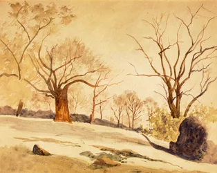 Autumn Landscape