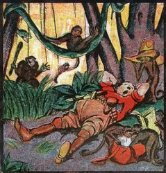 European Settler Hunting in Africa (engraving)