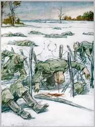 Barbed Wire