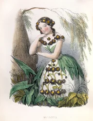 Allegory, the Forget-Me-Not
