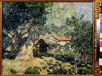 A hut in the forest