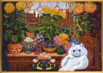Master of Cat College