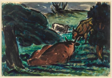 Cows Reclining