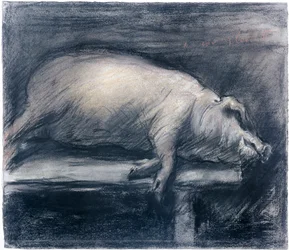 The Slaughtered Pig