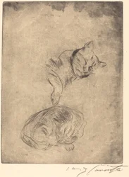 Study of Cats, 1920