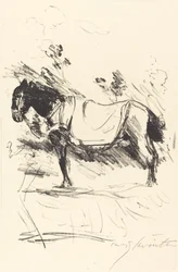 Riding-Horse, 1916