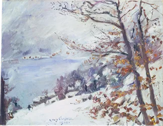 Lake Walchen in Winter
