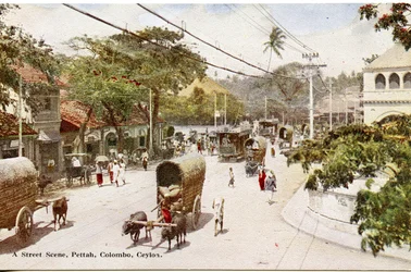 A Street Scene, Pettah, Colombo, Ceylon, c.1900-20