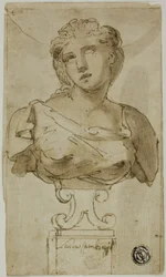 Bust of a Woman