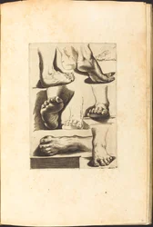 Print from Drawing Book