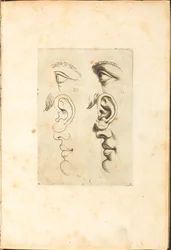 Print from Drawing Book