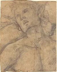 Bust of a Youth Looking Upward