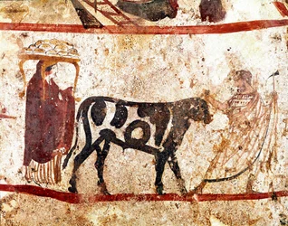 A bull is led to the sacrificial altar. Lucanian fresco from the 4th century BC, from the necropolis of Andriuolo in Paestum, Italy. Museo Nazionale Archeologico, Paestum