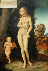 Unknown Image
