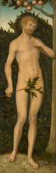 Adam