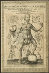 Second Vision, from Mirrors of the Microcosm