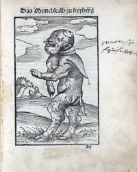 Monk Calf of Freiberg (Das Moenchskalb zu Freiberg)
