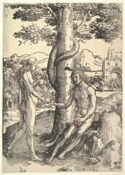 Fall of Man, Adam and Eve