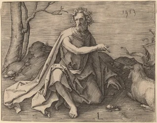 Saint John the Baptist in the Desert